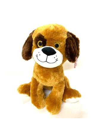 1602-perro