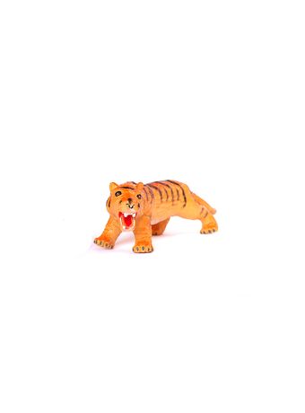 31828-tigre