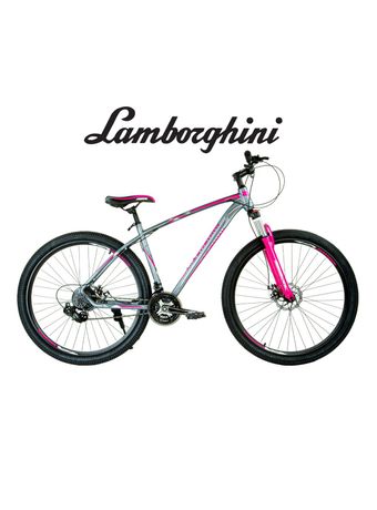 rosa-bici